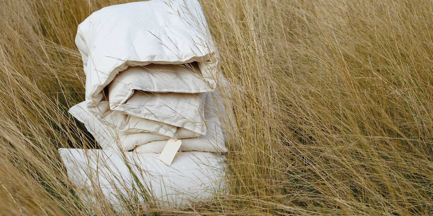 Our Organic range
