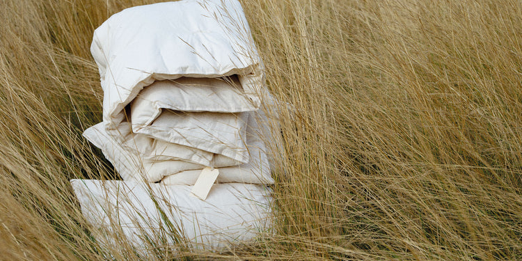 Our Organic range