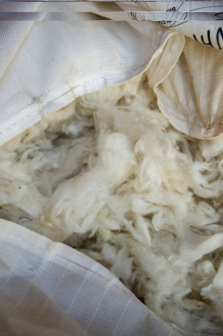 scoured downs wool