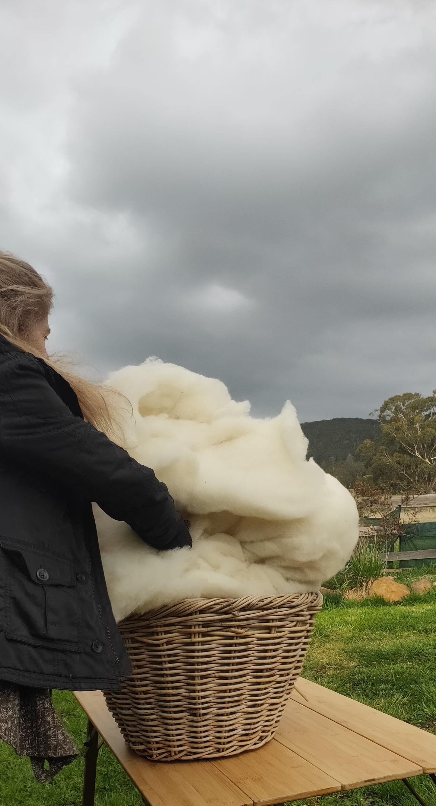 Carded Wool - back in stock mid October