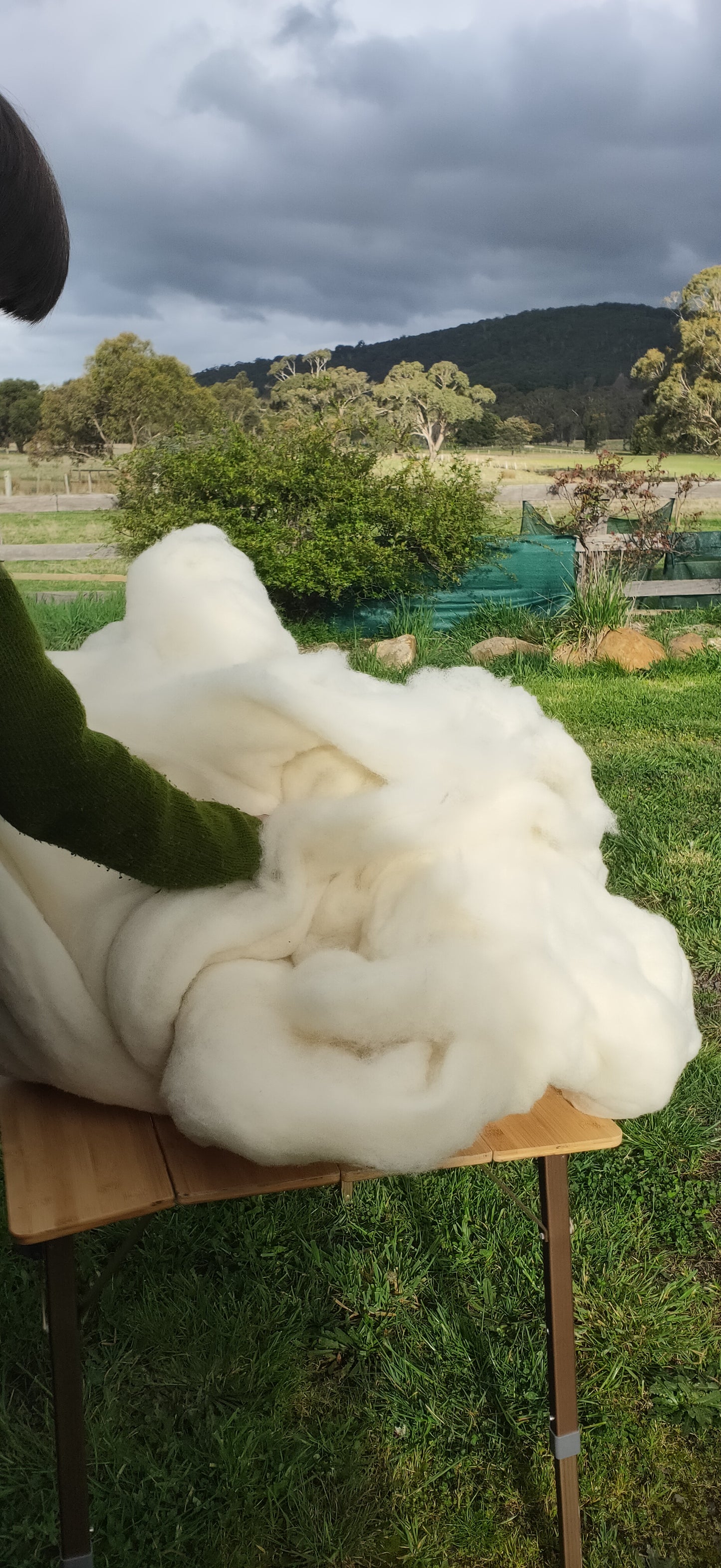 Carded Wool - back in stock mid October