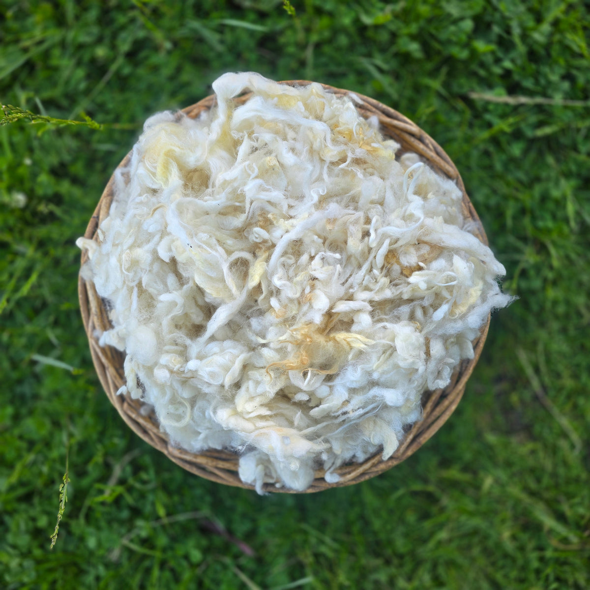 32 micron Downs Wool