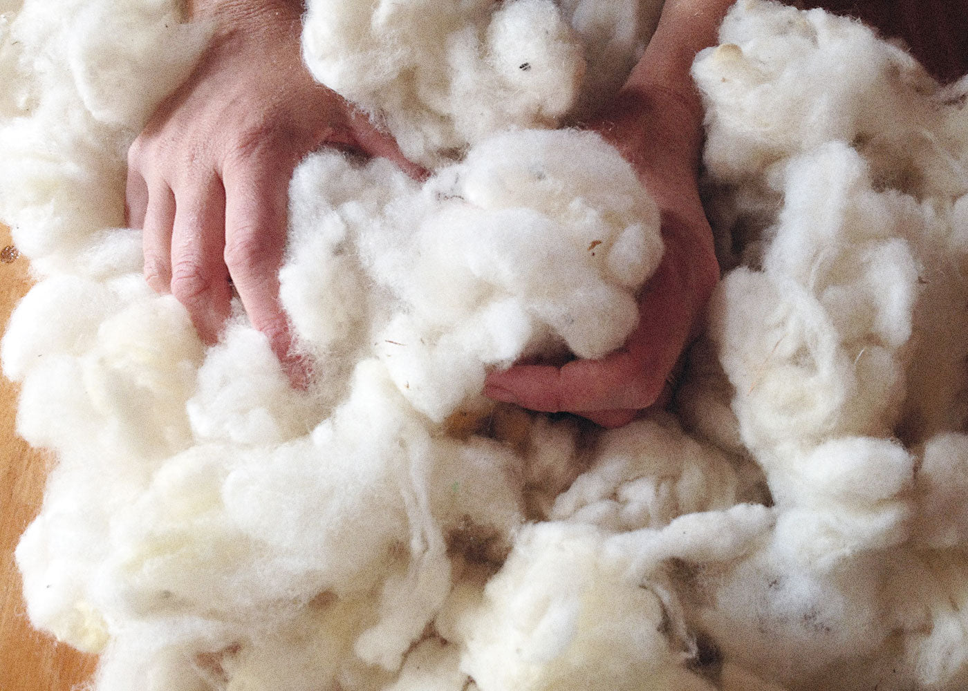 Organic Scoured Downs Wool
