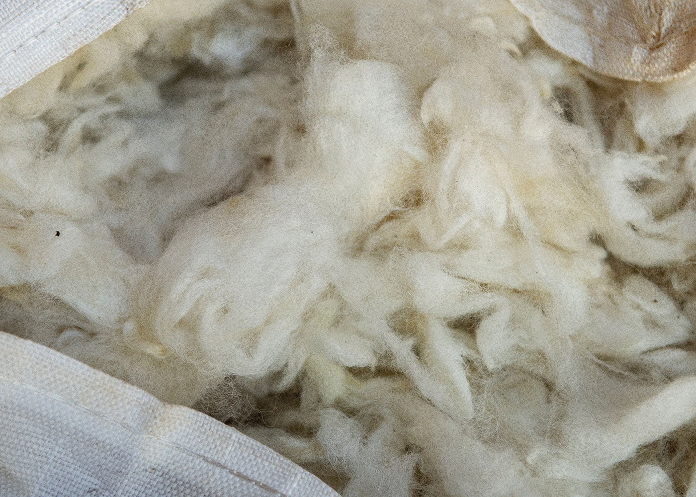 Organic Scoured Downs Wool