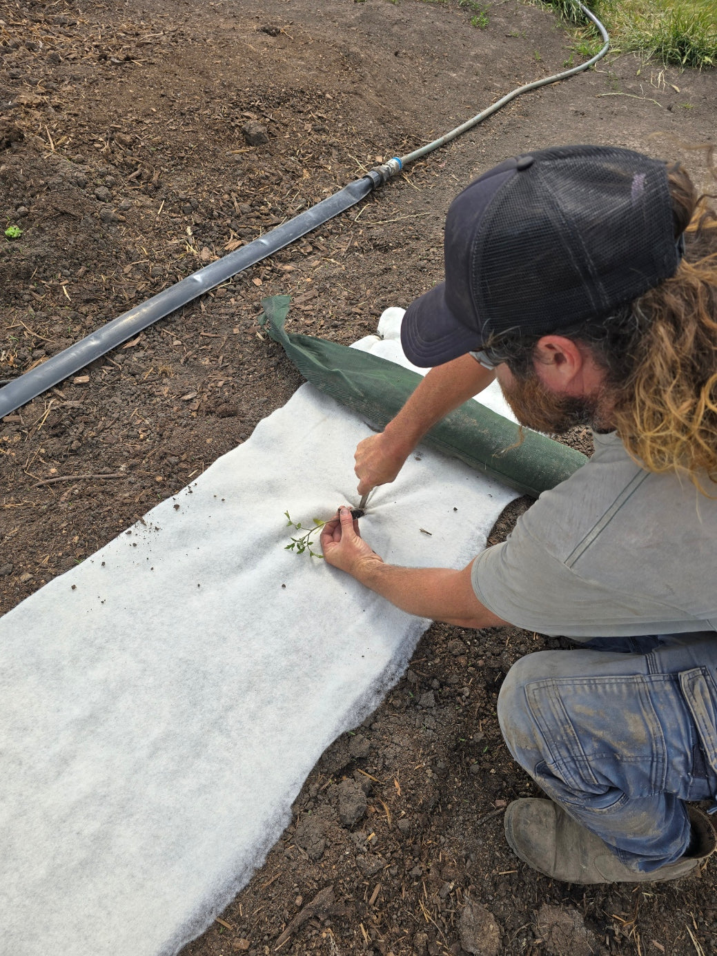 100% Wool Weed Matting