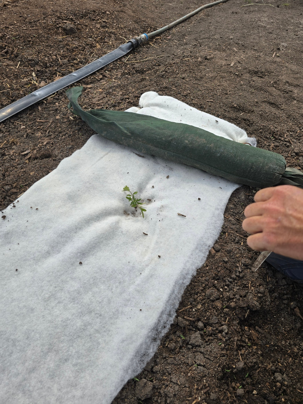 100% Wool Weed Matting