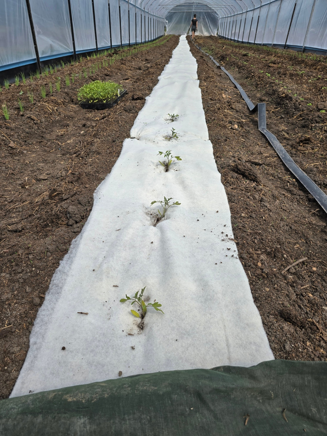 100% Wool Weed Matting