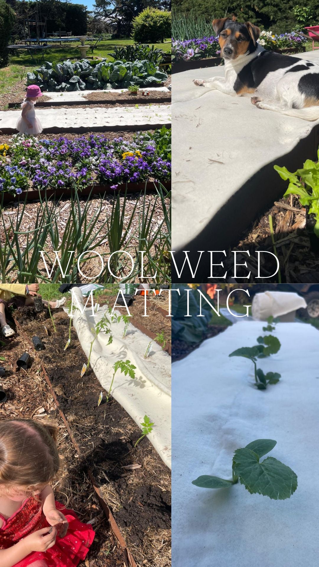 100% Wool Weed Matting - back in stock!!!