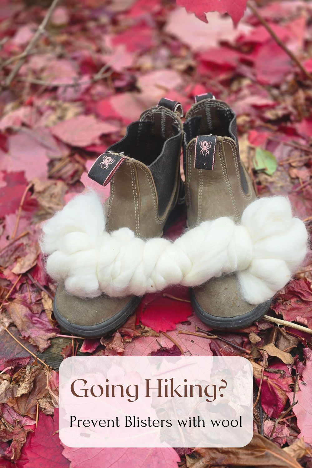 organic roving -  tops