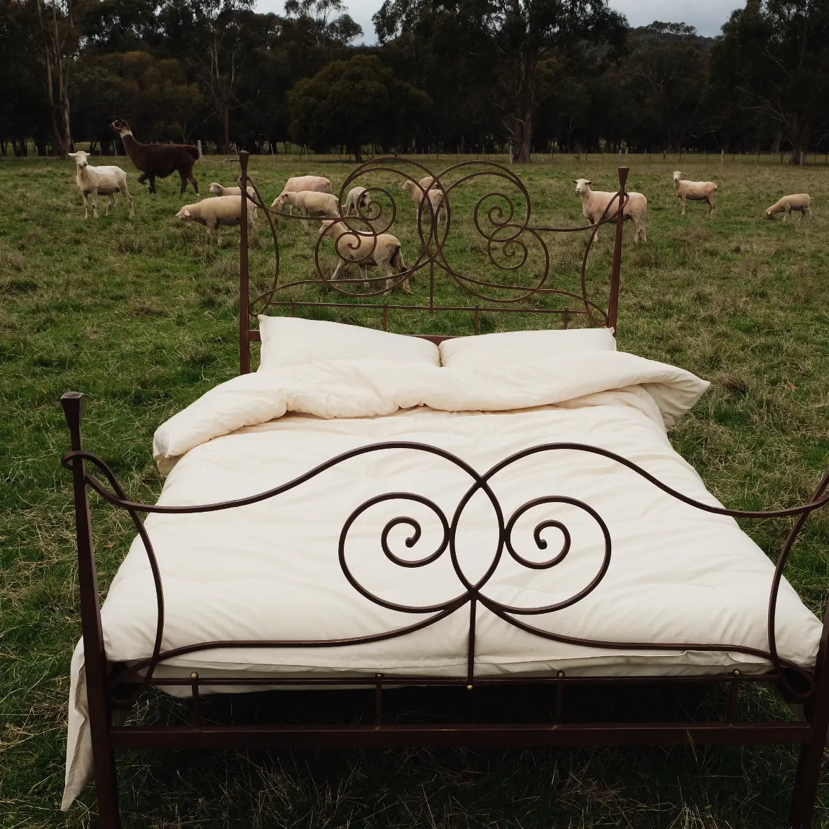 winter doona + two pillows and save!