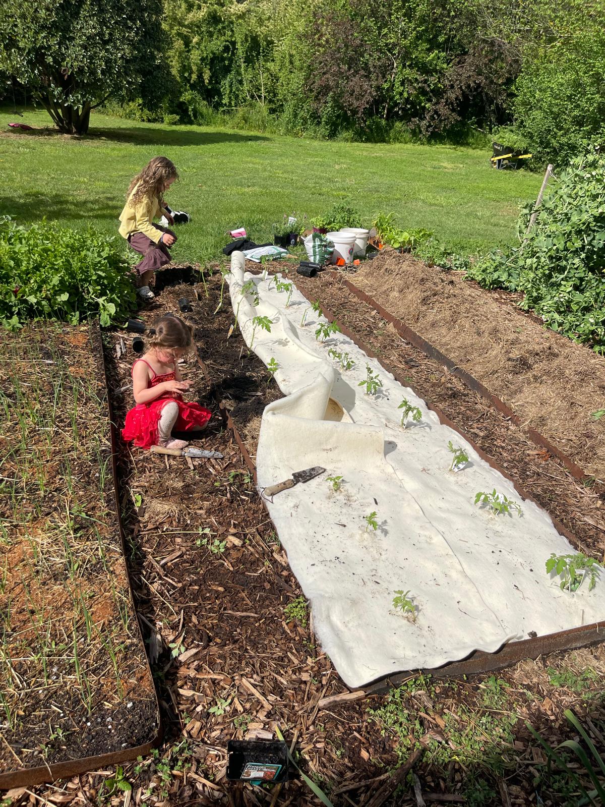 100% Wool Weed Matting