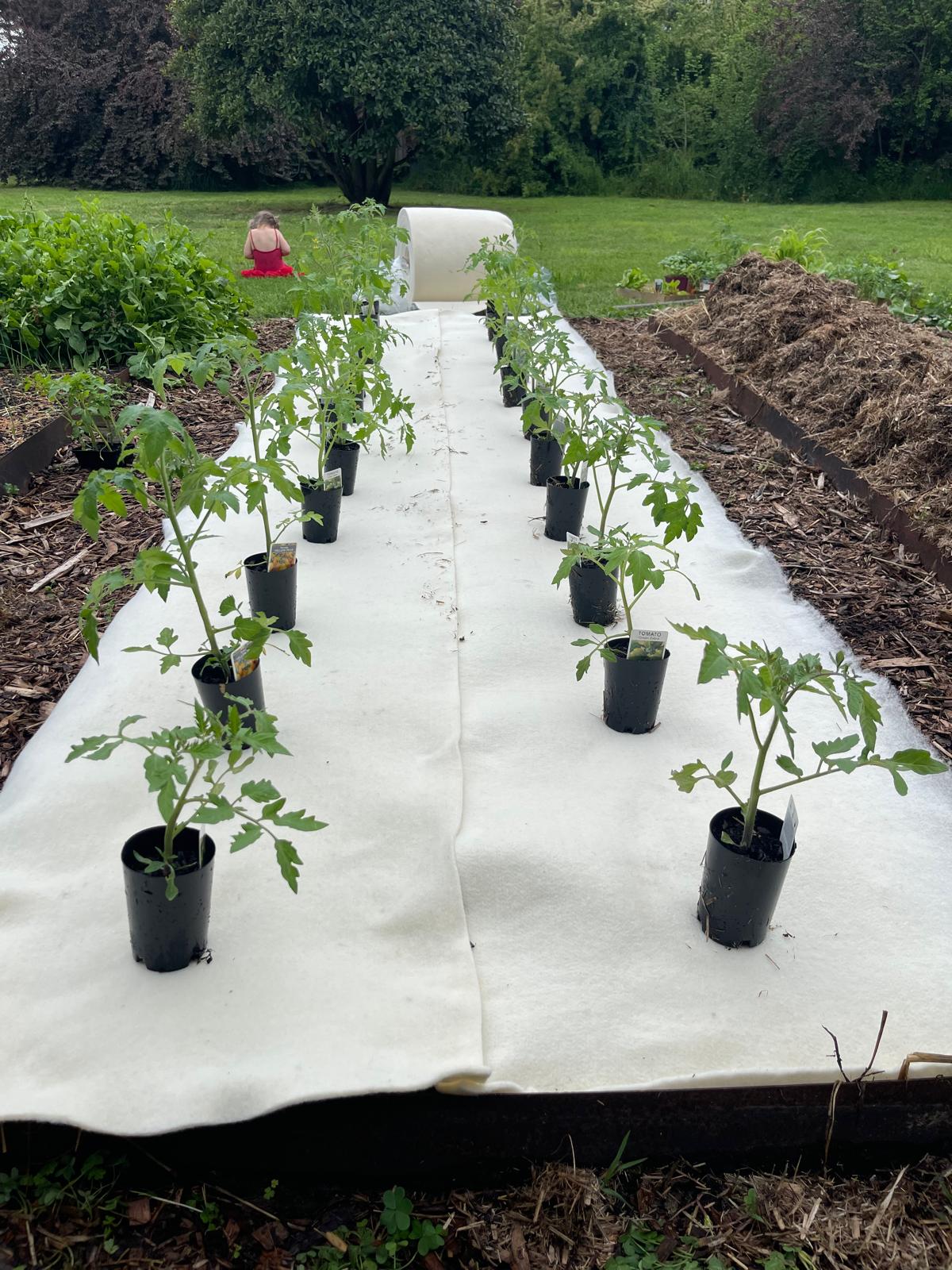 100% Wool Weed Matting