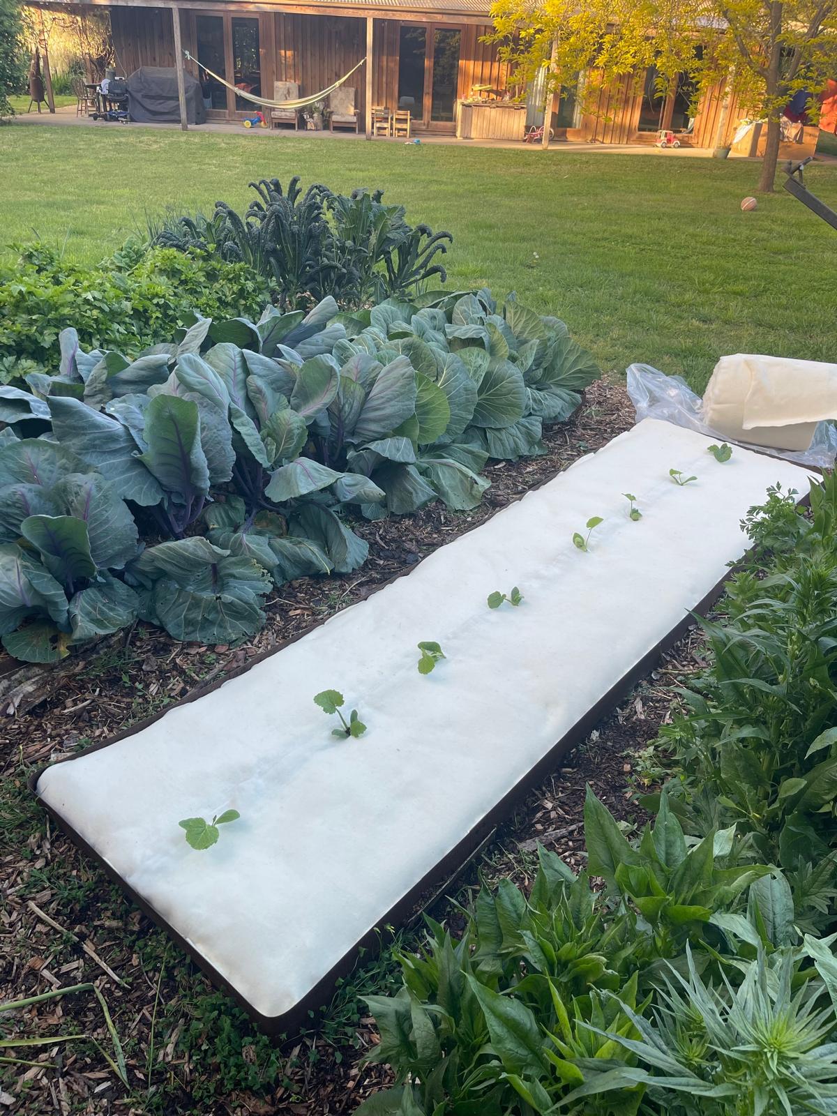 100% Wool Weed Matting - back in stock!!!