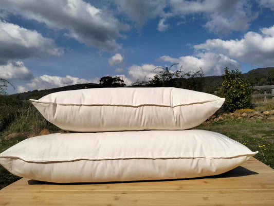 2 organic pillows
