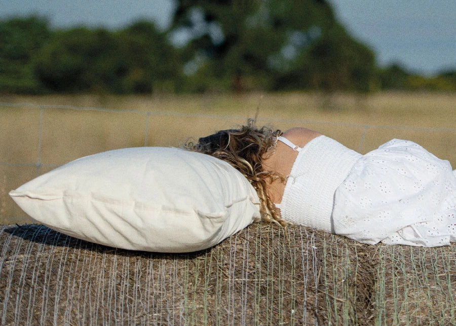 Organic homemade pillow
