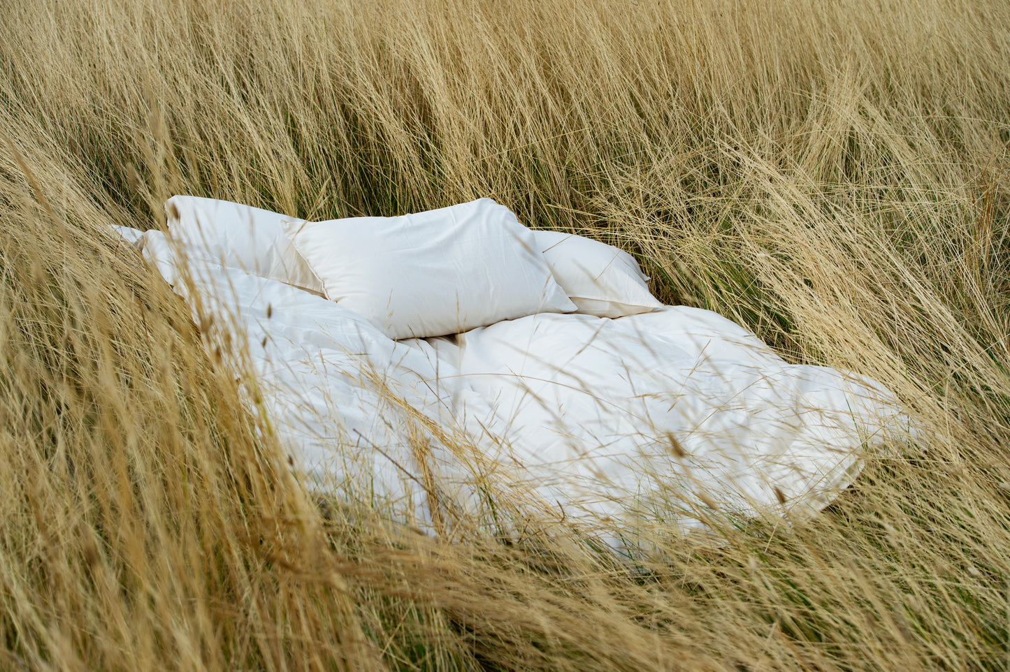 Bundle an Organic Summer Doona and 2 pillows