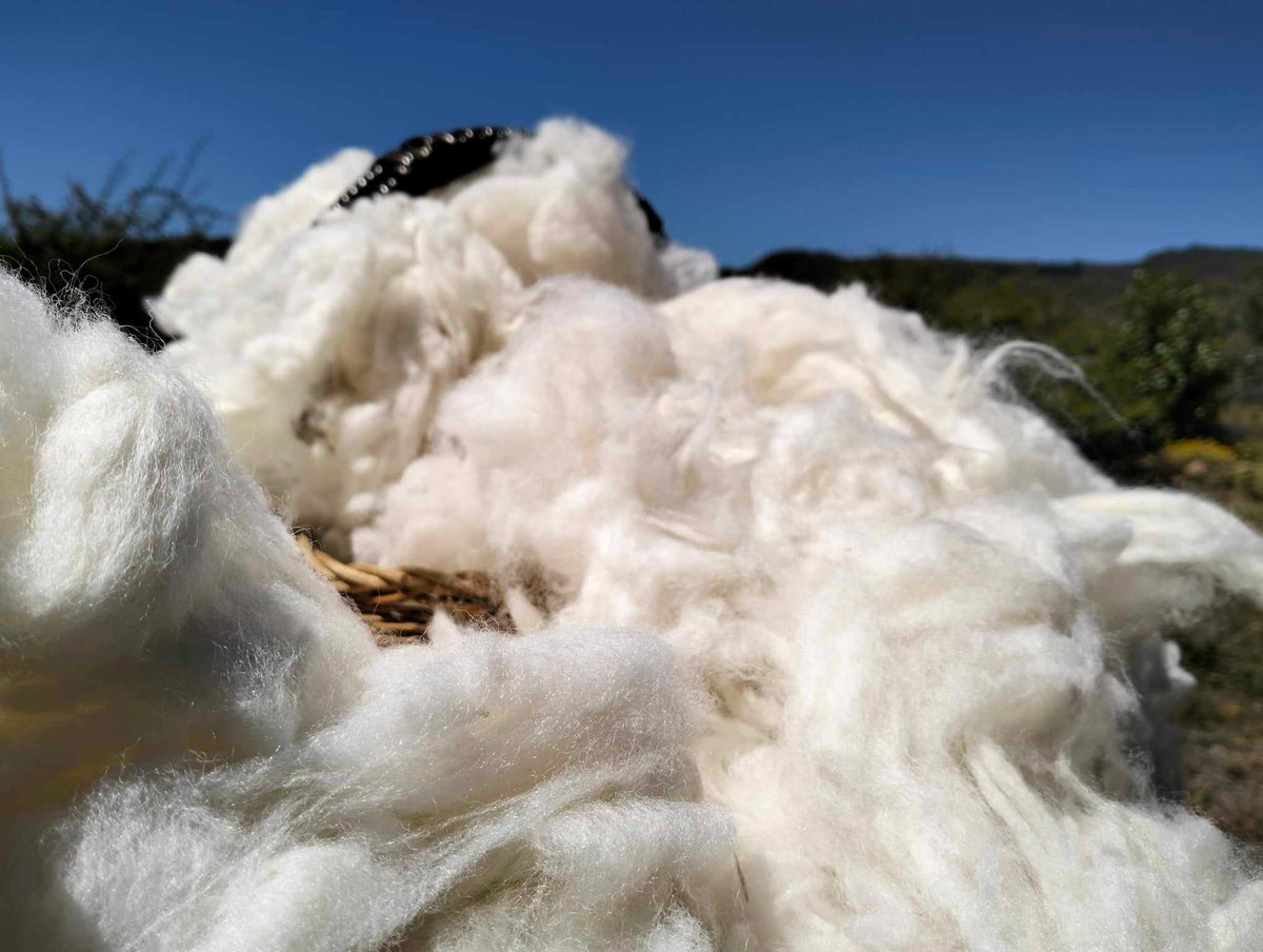 Wool Files 40 micron wool| Wool Valley