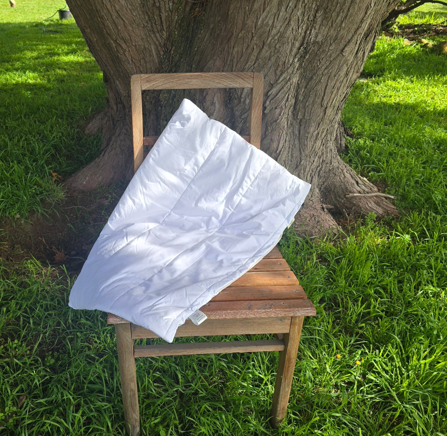 Natural wool pillows