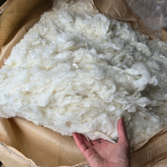40 micron wool