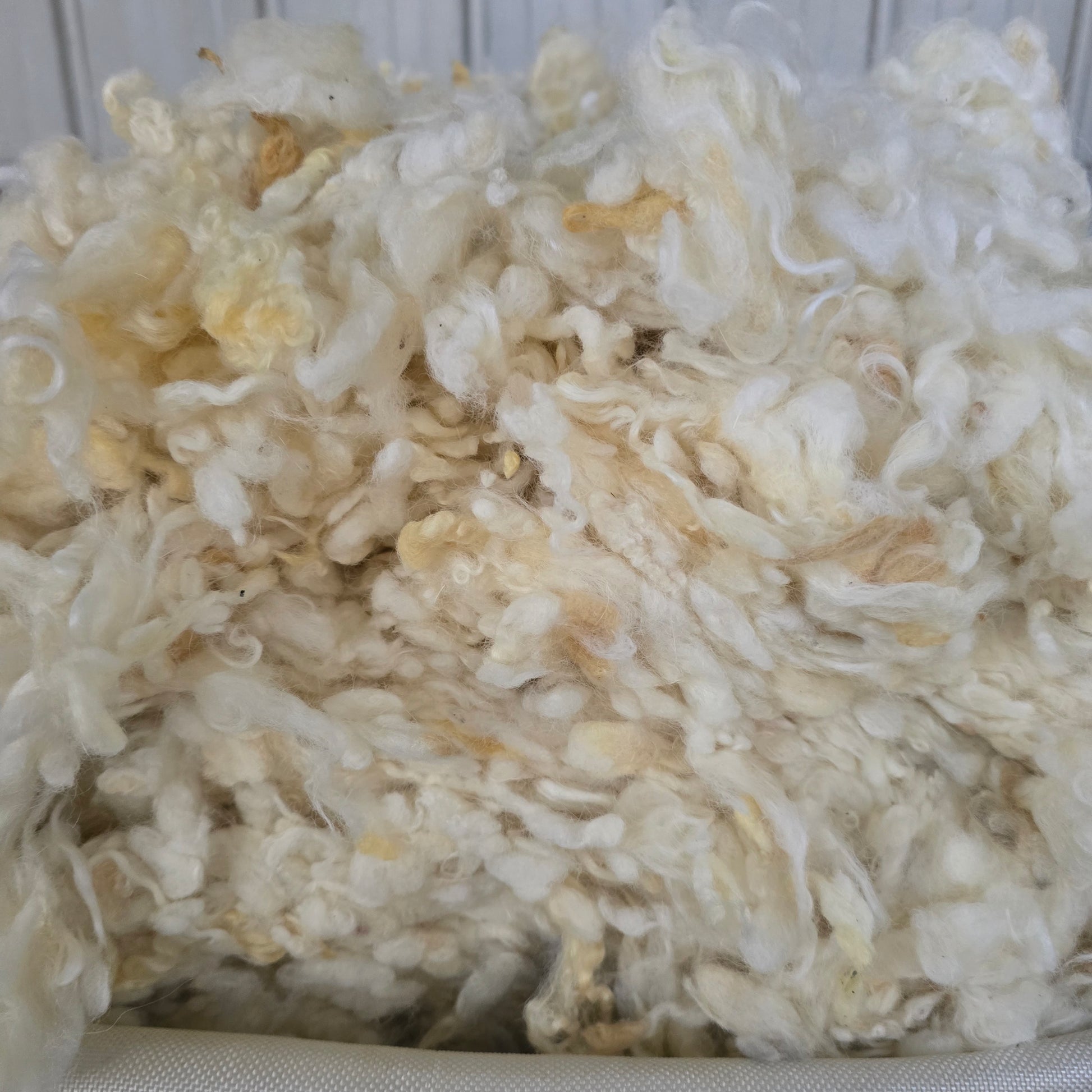 Wool Files 32 Micron Downs Wool | Premium Wool Filling Material