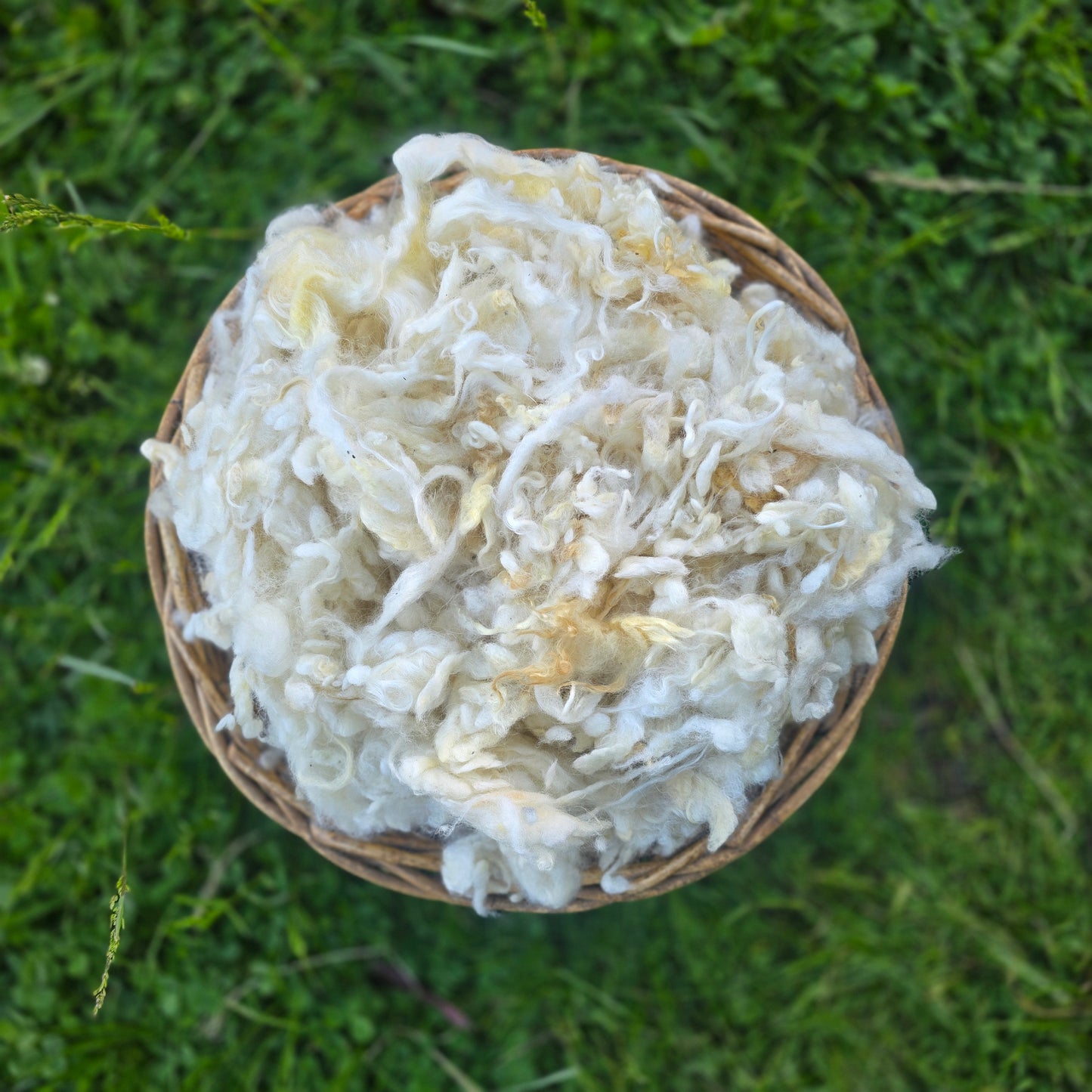 32 micron  Downs Wool