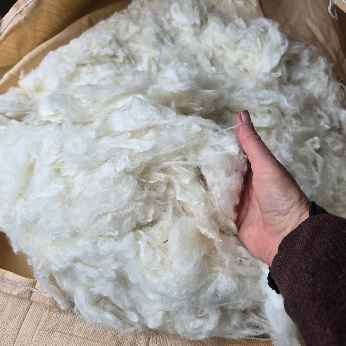 40 micron wool