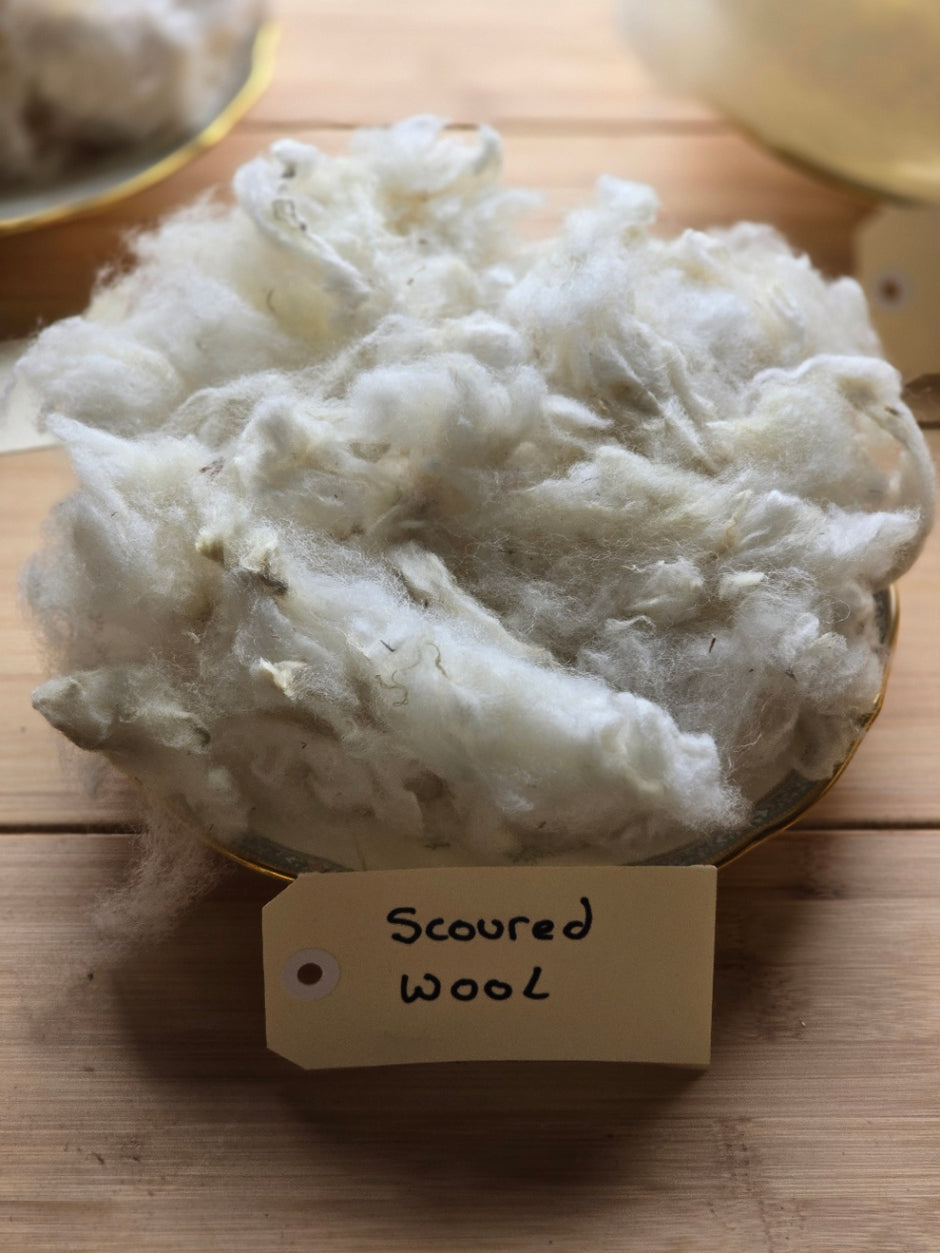 Fillings – Wool Valley