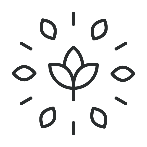 Organic Wool Bedding & Wool Wadding Australia | Wool Valley